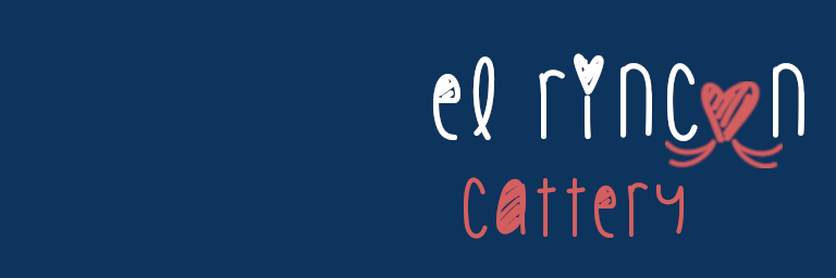 Cattery el Rincón